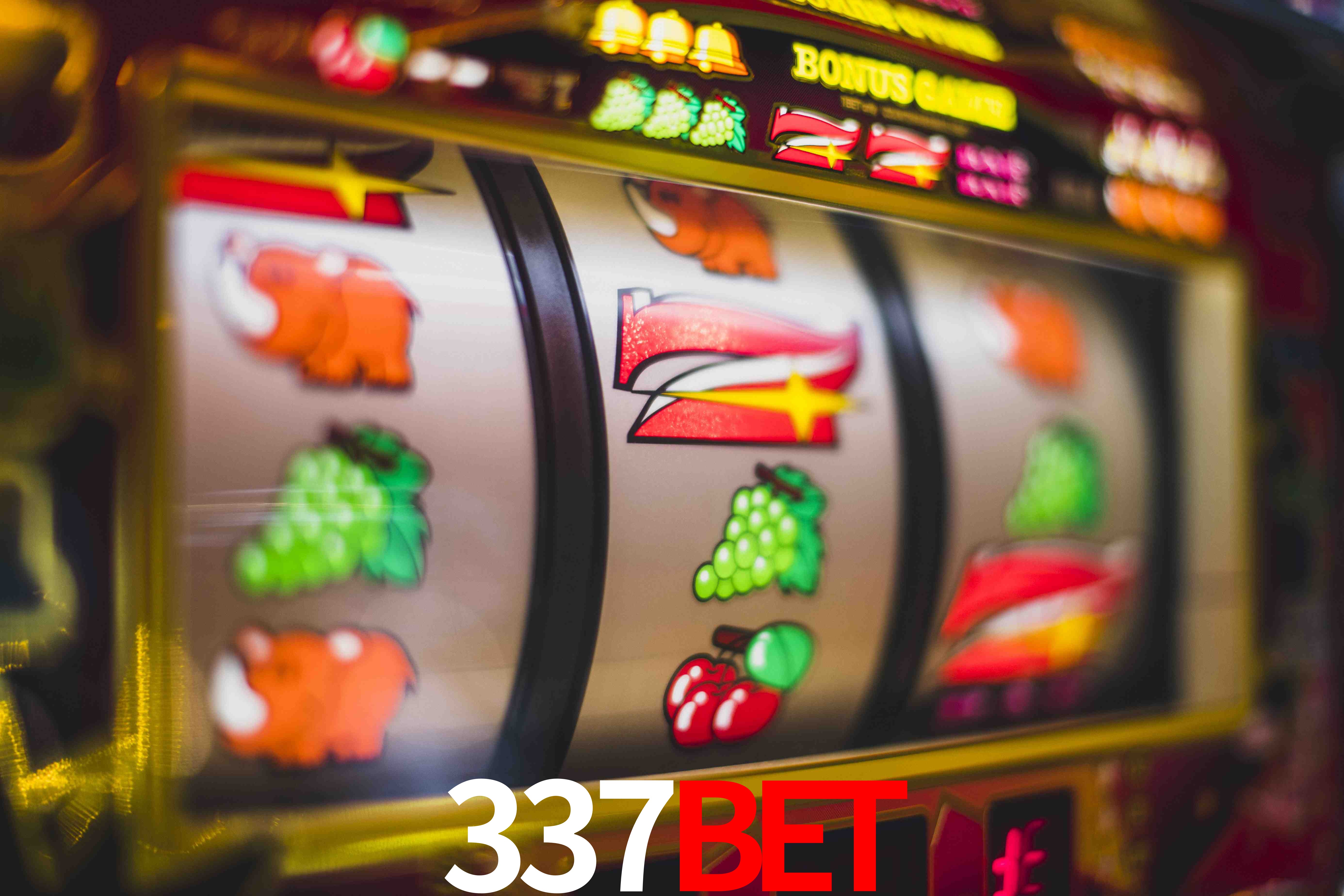 VIP Casino 337BET